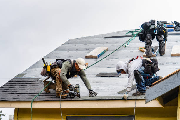 Professional Roofing technician working in Williamsville, IL